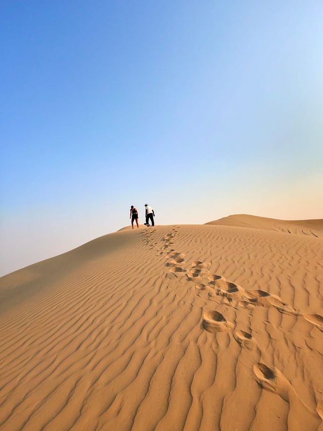 MUST-DO in DUBAI: a DESERT experience
