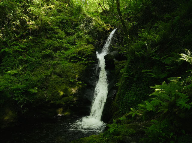 Dolgoch Waterfall - a hidden gem located within Snowdonia’s beautiful national park 