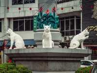 Kuching, Borneo: A Cat Lover’s Paradise  