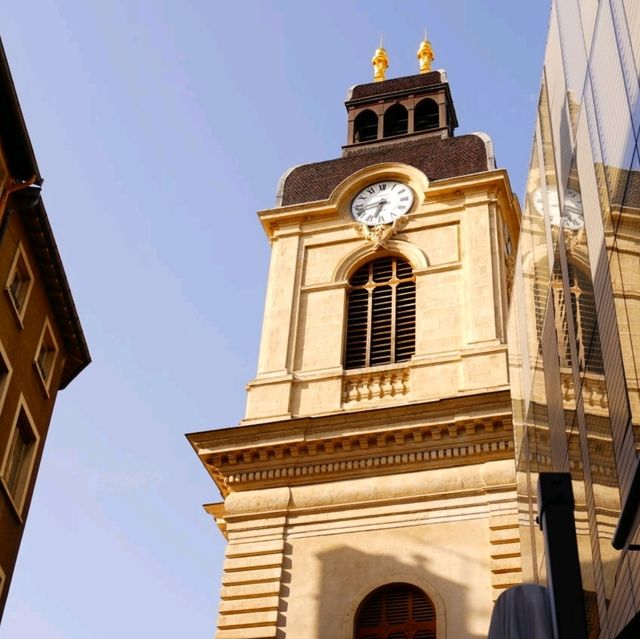 pretty Lyon