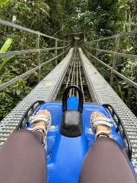 🏔️ Datanla New Alpine Coaster: When Mountains Whisper 'Slide Down' With Wind