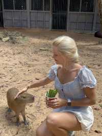Signature Phu Quoc Safari ! Must see!