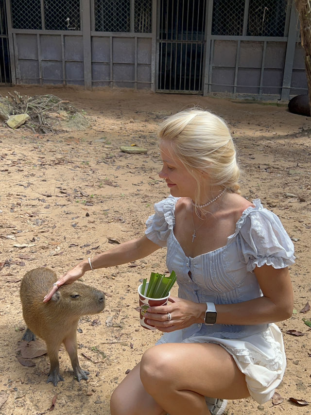 Signature Phu Quoc Safari ! Must see!