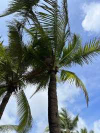 Sanya. Yalong Bay