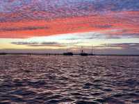 Baja California for Divers – Skip Cabo, Go Deeper 🌊🐠