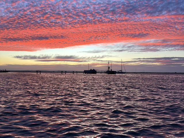 Baja California for Divers – Skip Cabo, Go Deeper 🌊🐠