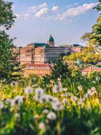 🌉👑 “Bridges, Baths & Baroque Dreams: A Royal Day in Budapest” 🇭🇺
