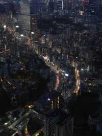Tokyo | The best place to enjoy Tokyo view 