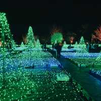 Tokyo to Nagoya: Christmas Lights & Winter Magic Day Trip