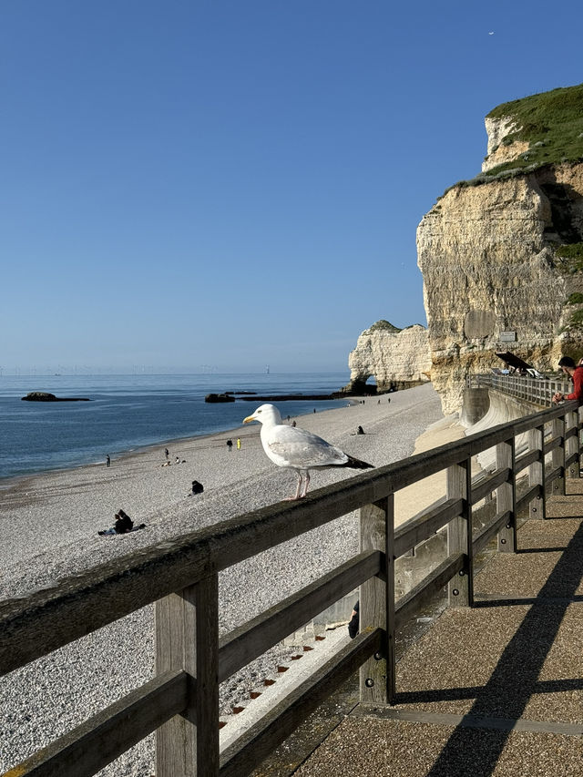 Etretat, France, is the perfect getaway! 🌊☀️