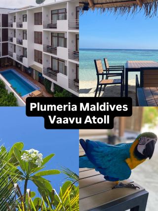 Plumeria Maldives Vaavu Atoll