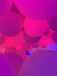 TeamLab Wonders✨