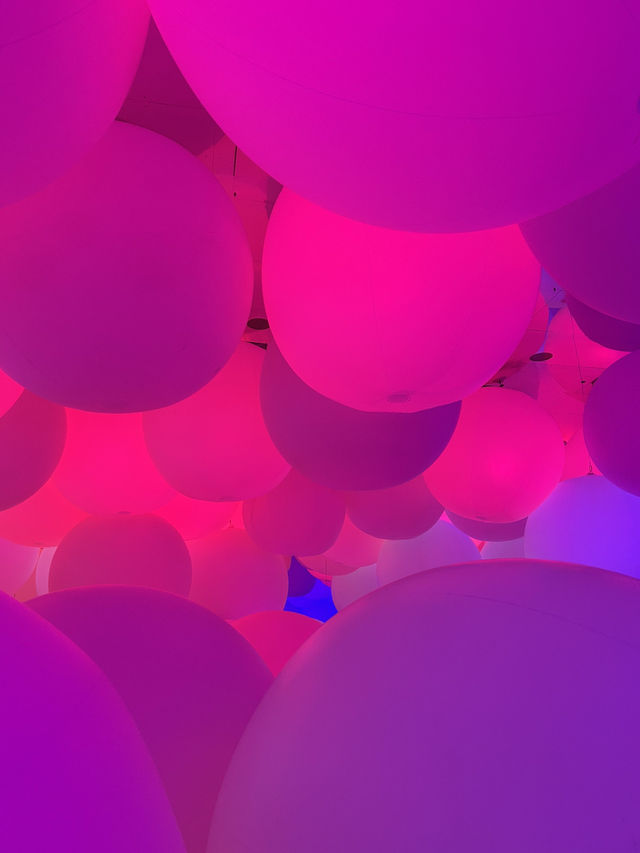 TeamLab Wonders✨   TeamLab Wonders✨