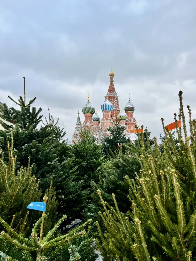 Путешествие в Рождество в Москве