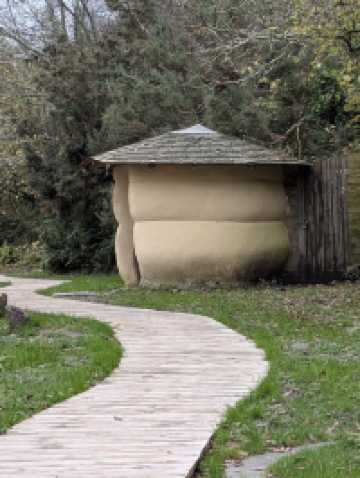 A gentle seasonal introduction to wonder 🍁✨