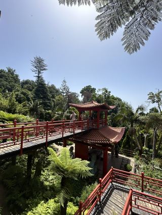 วิวสวยงามราวกับฝันของมาเดรา 🌅