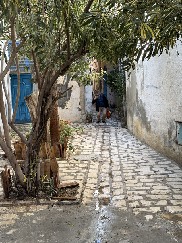 «Открой Тунис глазами GPT: от отеля Victoria до …