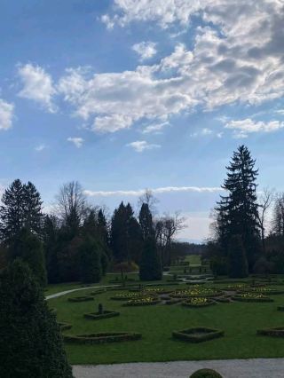 Bloom Beauty Arboretum🌷