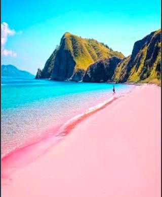 Bangkok to Pink Sand: A Colourful Thailand Escape 🇹🇭🌸