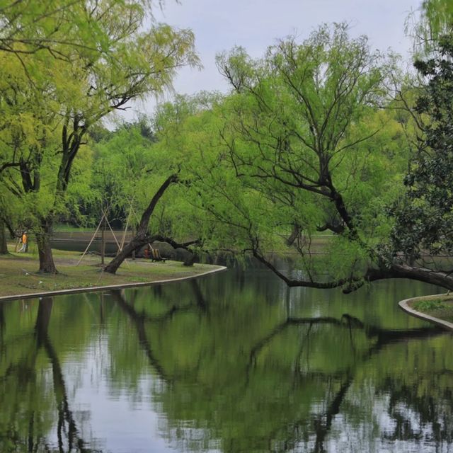 Shanghai Gongqing Forest Park🪵 Shanghai Gongqing Forest Park🪵