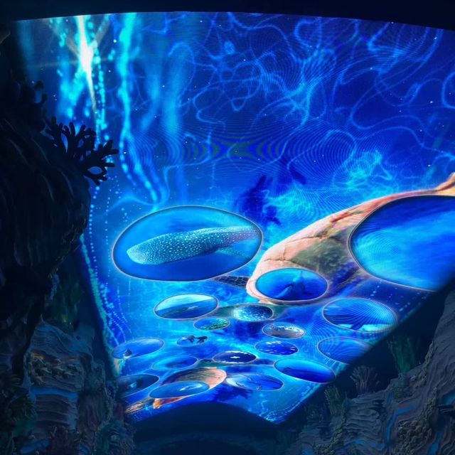 打卡珠海長隆海洋王國