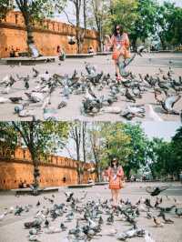 The red walls and pigeons of Tappehmen.