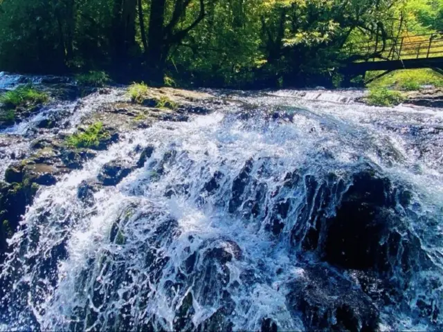 Longcangou Forest Park