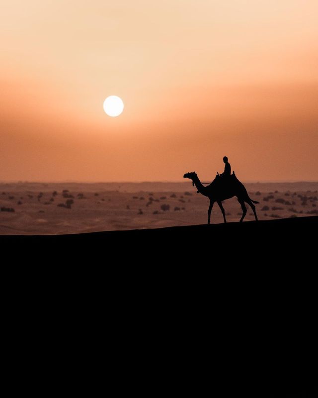 An Incredible Experience: Desert Safari Sunset with @eagletoursdubai and @welcome2emirates