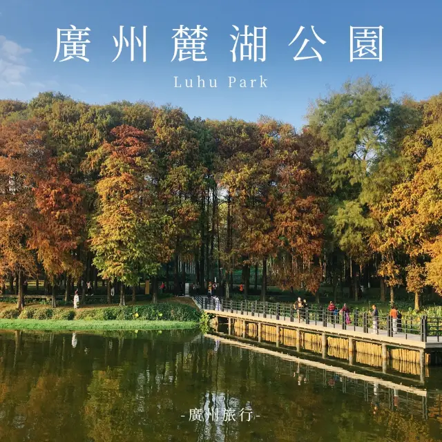 麓湖公園｜打卡廣州冬日景點