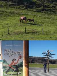 不是新疆，是重慶3h抵達牛馬成群的草原