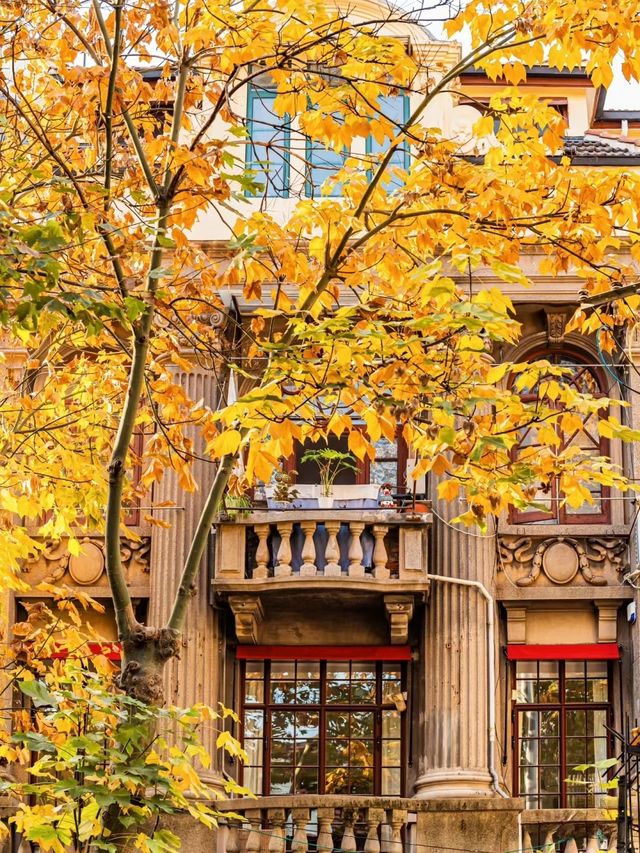 人生建議:12月逛完這些小馬路再離開上海! 人生建議:12月逛完這些小馬路再離開上海!