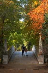 12月的海灣公園太美啦