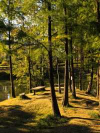 福州閩江公園南園賞秋正當時