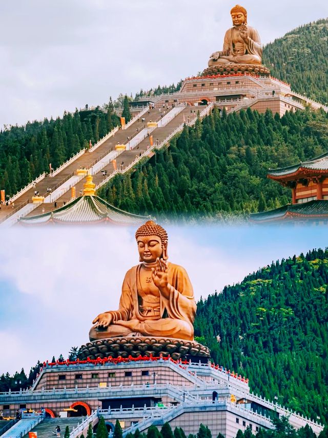 上上簽！龍口南山祈福之旅~