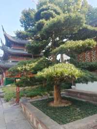 市區裡的寺廟-七塔禪寺