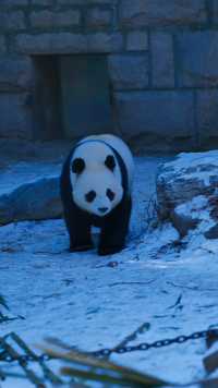 北京動物園