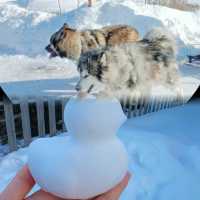 哈爾濱 雪谷霧凇嶺｜讓你知道真的有童話存在