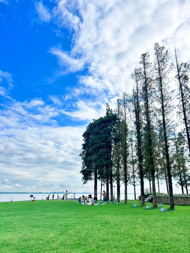 淀山湖和朱家角一日遊