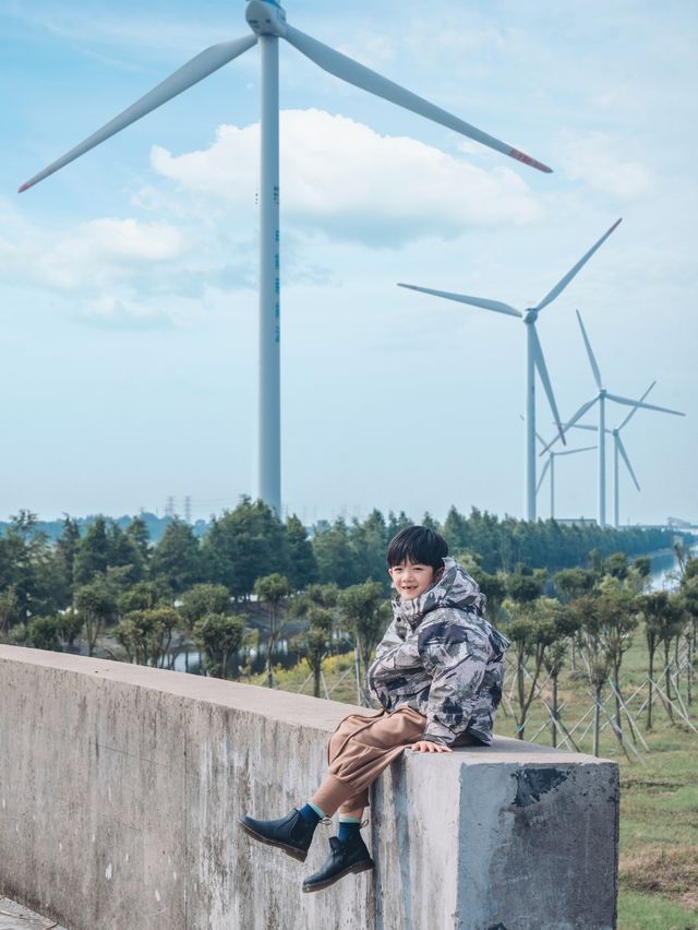 上海崇明島的秋色倒計時打卡攻略