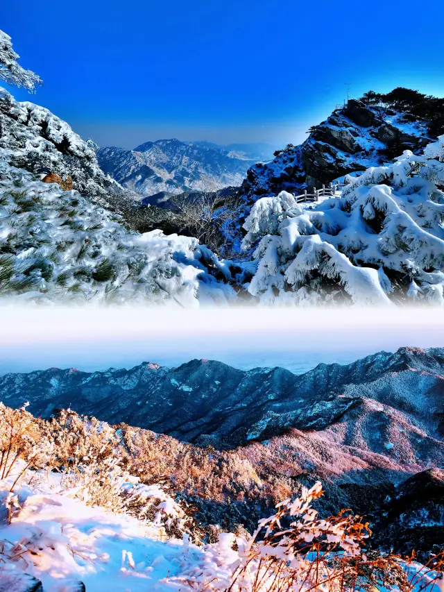 สายการสำรวจหิมะ! ตรวจสอบความงามในวันหนาวของภูเขา Yimeng, สวยจนทำให้คนหยุดหายใจ!