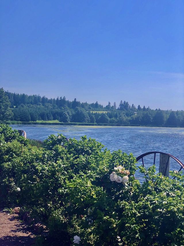 愛德華王子島 Newglasgow