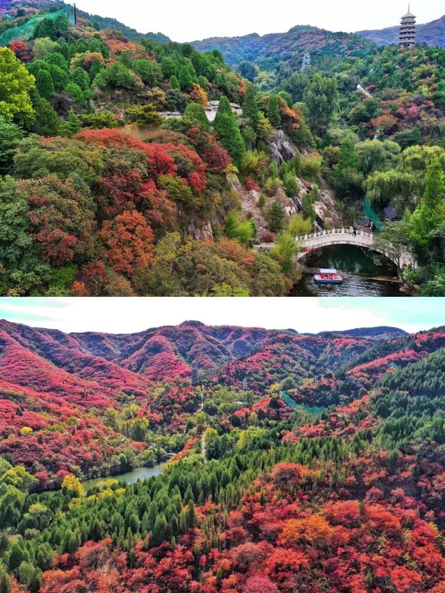 國慶小眾冷門的景點‖紅葉谷