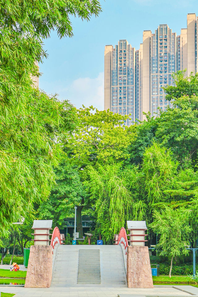 佛山寶藏公園，休閒散步潮玩市集好去處