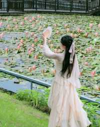 上海之魚花海