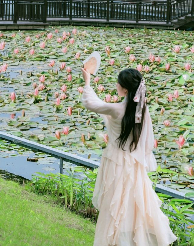 上海之魚花海
