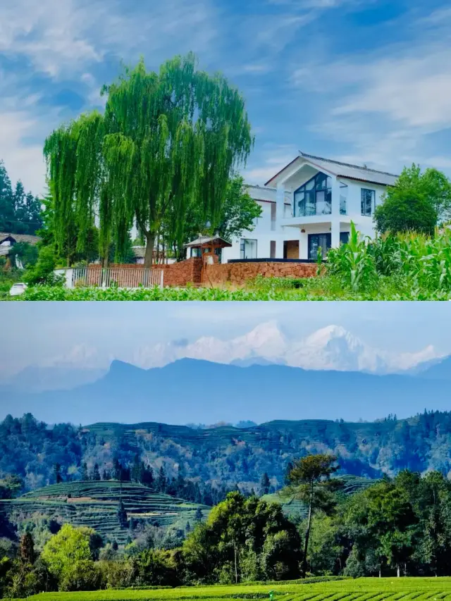 Ya'an Tea Mountain My House|The courtyard on the tea mountain terraces