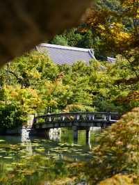 京都市步行永觀堂禪林寺
