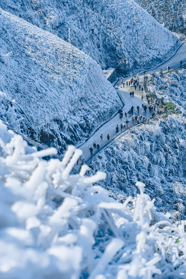 廣州周邊看雪聖地，雲端賞冰雪霧凇奇觀