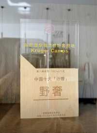 全新疆最好的酒店了小姐姐能歌善舞，還會再來