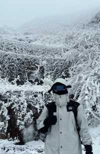 廣東周邊看雪 雲冰山避坑指南